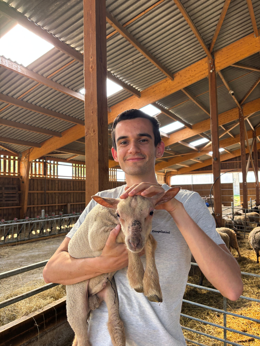 Acheter viande en direct producteur