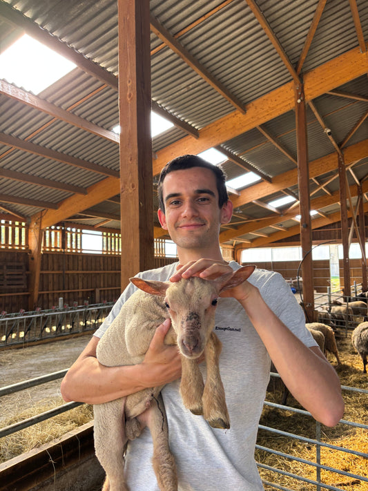 Acheter viande en direct producteur