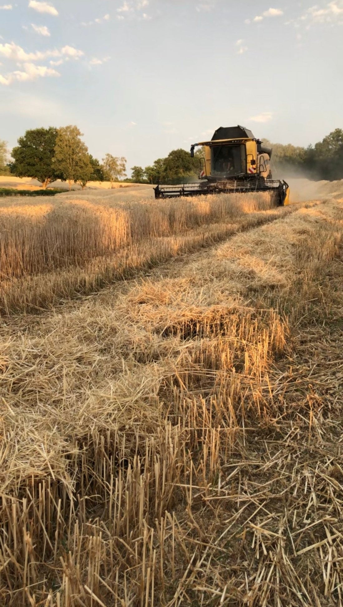 Moisson en limousin